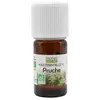 Image de Propos' Nature Aroma-Phytothérapie Huile Essentielle Pruche Bio 5ml