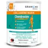 Image de Chondrostéo+ Collagène Marin Confort Articulaire Goût Fruits des Bois Poudre 280g