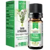 Image de Dayang Thym à Thujanol Bio 5ml
