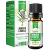 Image de Dayang Romarin à Cinéole Bio 10ml