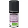 Image de Florame Revel'Essence Huile Essentielle Sauge Sclarée Bio 5ml