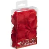 Image de Sachet De 150 Pétales De Rose Rouge