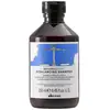 Image de Davines Shampoo Naturaltech Rebalancing - 250 ml | Pour shampooing cuir chevelu gras