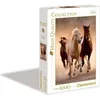 Image de Clementoni - Puzzle - Chevaux sauvages - 1000 pièces - 677 x 477 cm - Fabriqué en Italie