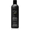 Image de Alfaparf Shampoo Blends of Many Energizing Low - 250 ml | Pour homme