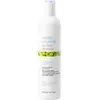 Image de Milk_Shake Conditioner No Frizz Allowed Perfecting - 300 ml | Pour cheveux épais et indisciplinés
