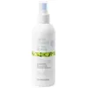 Image de Milk_Shake Spray No Frizz Allowed Amazing Anti-Humidity - 200 ml | Thermoprotection