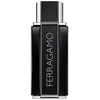 Image de FERRAGAMO SUBLIME LEATHER edp vapo 100 ml