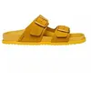Image de Claquettes femme Geox SandyBett