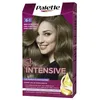 Image de PALETTE INTENSIVE teinture #6.1-blond cendré foncé 1 u