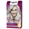 Image de PALETTE INTENSIVE teinture #U71-gris argenté