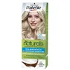 Image de PALETTE TEINTURE NATURELLE #12.1 - blond extra clair cendré 1 u