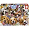 Image de Puzzle 1000 pièces : Chiots Selfie Howard Robinson