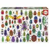 Image de Puzzle - EDUCA - Scarabées - 500 pièces