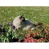 Image de Grillage métal plastifié Fensanet Plast 12 - 050 x 5 m - 127 x 127 x 065/09 mm - Vert