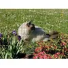 Image de Grillage métallique plastifié - NORTENE - 1 x 10 m - Couleur verte - Maille 127 mm - Fer