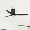 Image de SKYLER Ventilateur de plafond Ø132 cm noir lumière