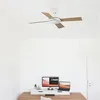 Image de KAZE Ventilateur de plafond Ø107cm