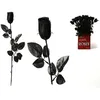 Image de Rose gothique noire
