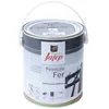 Image de Peinture fer Jafep 25 L anthracite mat