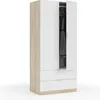 Image de Armoire 2 portes et 2 tiroirs nordik 52 cm Multicolor