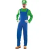 Image de Déguisement - EURO CARNAVALES - Super Luigi Vert - Costume de qualité - Licence Mario - Taille unique adulte