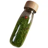 Image de Petit Boum Bouteille sensorielle Sound Coccinelles - Vert - 14 x 4 cm