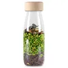 Image de Petit Boum Bouteille sensorielle Spy Jungle - Vert - 14 x 4 cm