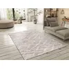 Image de Tapis ATTICGO abstrait 80 x 150 cm CLASS beige