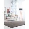 Image de Tapis ATTICGO uni 60 x 120 cm LOFT LISO anthracite