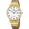 Image de Festina montre Homme F20513/1