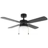 Image de Cecotec Ventilateur de plafond avec lampe EnergySilence Aero 450 FullBlack