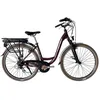 Image de Vélo électrique de ville Wolfbike Radaway R28 - granate vino - Marron - 19
