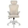 Image de Silla ergonómica Drift DRAIR35 Beige Respaldo Malla Reclinable Reposabrazos Abatible 120 kg