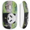 Image de Souris sans fil - MANIACASE - Panda - Couleur verte - Clé USB wifi incluse - Compatible Mac et PC
