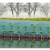 Image de Toile de paillage paysages verte 1 x 10 m traité anti UV 100 g/m² - Bâche de sol anti mauvaises herbes