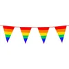 Image de GUIRLANDE À FANIONS FIERTÉ LGBT 10M ARC-EN-CIEL Multicolore