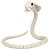 Image de Squelette de serpent - BOLAND BV - Taille unique - Noir - Décoration de fête