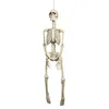 Image de Faux Squelette - BOLAND - 90cm - Plastique - Suspendu - Halloween