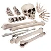 Image de Décoration squelette Halloween - BOLAND - Lot de 12 pièces - Crâne et os décoratifs - Plastique - Beige - Halloween