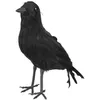 Image de Décoration corbeau noir - Taille Unique