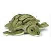 Image de Peluche Tortue WWF - 23 cm - Pour Enfant - Vert