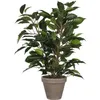 Image de Plante Artificielle - Mica Decorations - Ficus Natasja - Hauteur 40 cm - Réaliste - Sans entretien