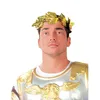 Image de Couronne de laurier césar or - Mixte - Intérieur - Adulte - 1 pièce - Blanc