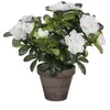 Image de Mica Decorations Plante artificielle Azalea - 20x20x27 cm - Polyester - Blanc