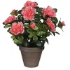 Image de MICA Decorations Fleurs Azalée Orange - 950331