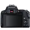 Image de Appareil photo Reflex - CANON - EOS 250D - 241 Mpx - 4K UltraHD - Objectifs inclus 18-55mm et 50mm