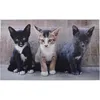 Image de Tapis paillasson imprimé chats - ESSCHERT DESIGN - Rectangulaire - Gris - 75 x 45 cm