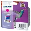 Image de EPSON Cartouche dencre T0803 Magenta - Colibri (C13T08034011)