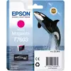 Image de Epson Magenta T7603